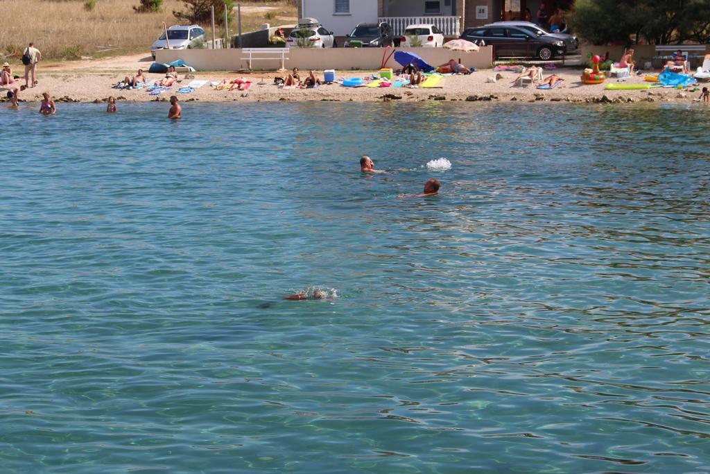 Apartmani Dragicevic Vir Dış mekan fotoğraf